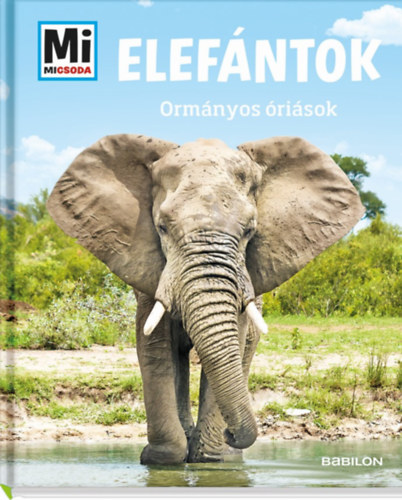 Elefántok – Ormányos óriások