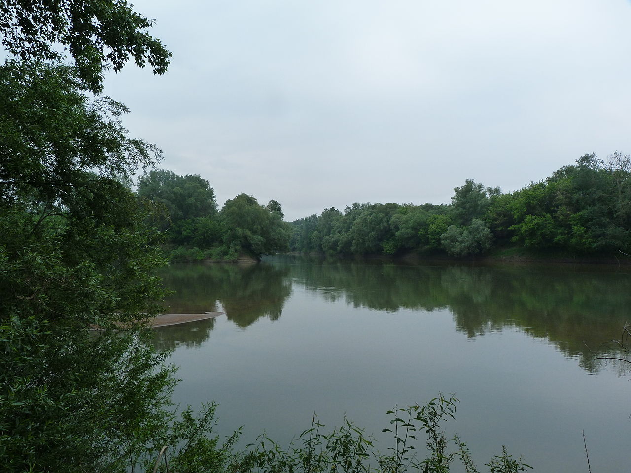 A Tisza élővilágának emléknapja