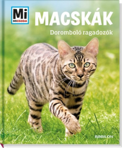 macskak dorombolo ragadozok