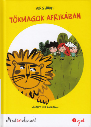 tokmagok afrikaban