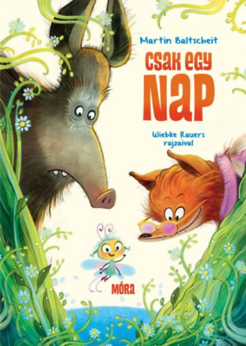 csak egy nap