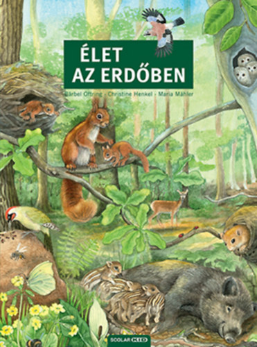 hihetetlen utazasok