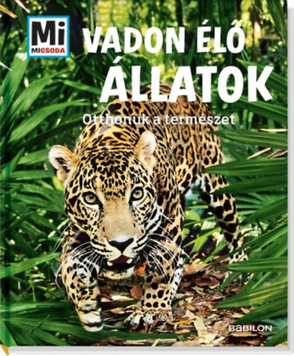 vadon elo allartok