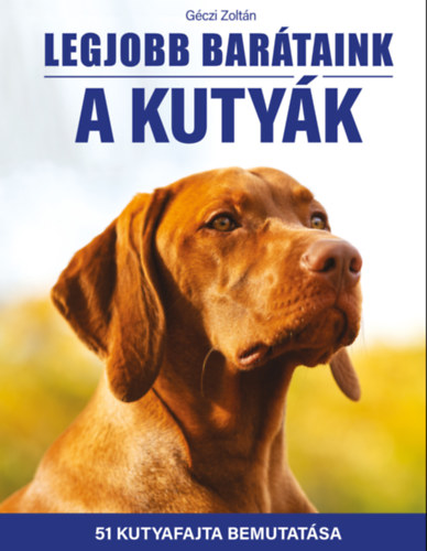 mehek es darazsak