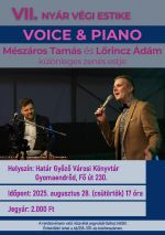vii_nyar_vegi_estike_plakat_sm