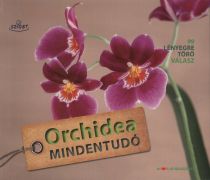 orchidea